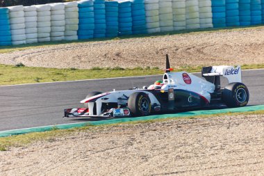 takımı sauber f1, sergio perez, 2011