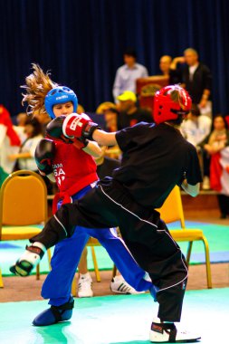 3 Dünya kickboks Şampiyonası 2011