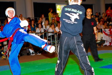 3 Dünya kickboks Şampiyonası 2011