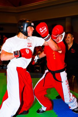 3 Dünya kickboks Şampiyonası 2011
