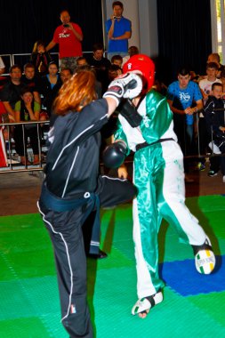 3 Dünya kickboks Şampiyonası 2011