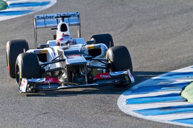 takımı sauber f1, kamui kobayashi, 2012