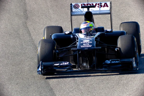 Équipe Williams F1, Pastor Maldonado, 2011 — Photo