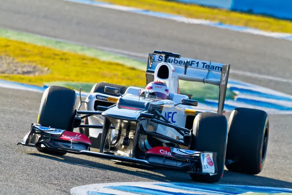 Team Sauber F1, Kamui Kobayashi, 2012 — Stock Photo, Image