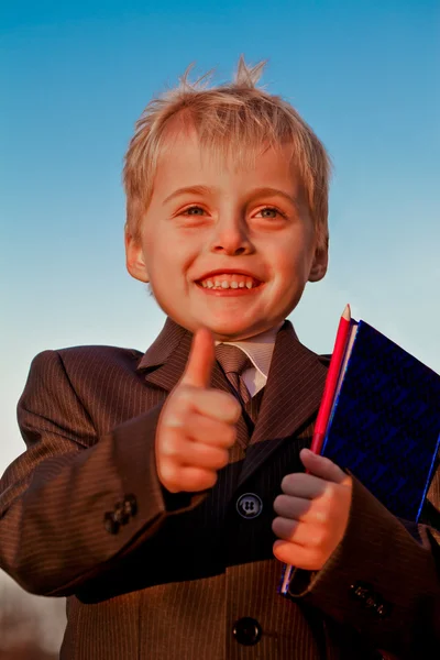 Smiling Schoolboy gesturing OK — Stock Photo, Image