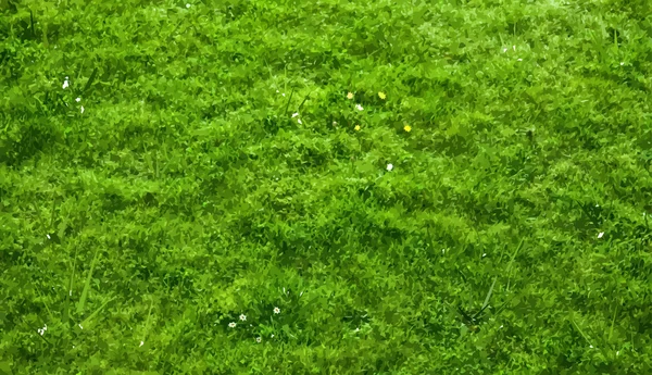 잔디와 꽃 자연 녹색 배경 — 스톡 벡터
