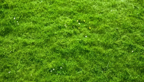 doğal yeşil renkli bir çim ve çiçek