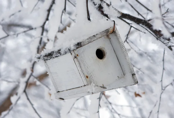 Casa de pássaro no inverno — Fotografia de Stock