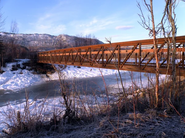Pěší most v zimě — Stock fotografie