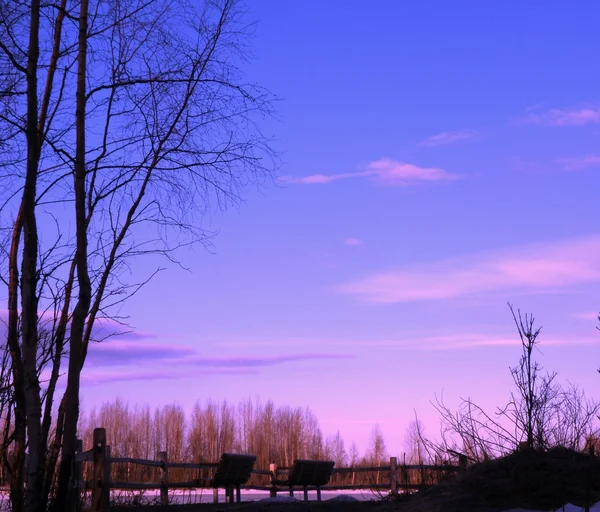 Зимовий захід сонця в парку — стокове фото