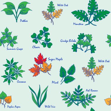 Hand Drawn Seamless Leaves Icons clipart