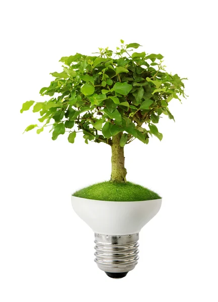 Concept groene energie — Stockfoto