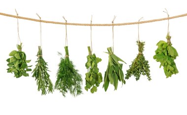 Fresh herbs clipart