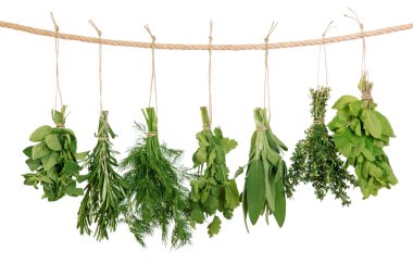 Fresh herbs clipart