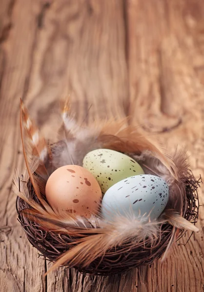 Великодні яйця в гнізді — стокове фото