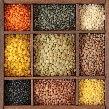 Different lentils clipart