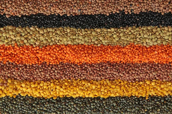Different lentils — Stock Photo, Image