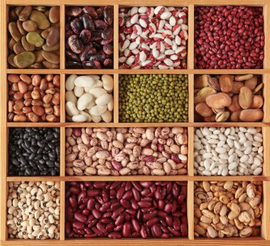 Different beans clipart