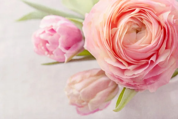 Ροζ λουλούδια — Φωτογραφία Αρχείου