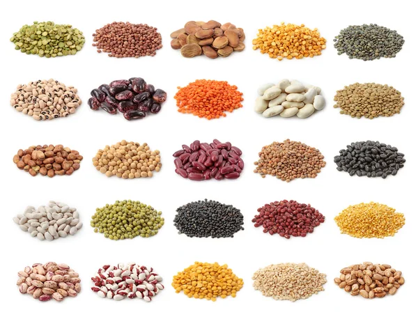 Legume collection — Stock Photo, Image