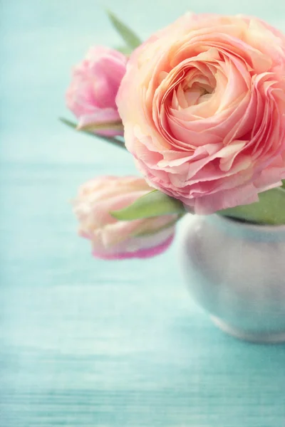 Bunga merah muda Stok Foto