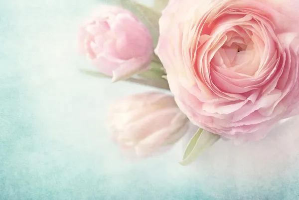 Ροζ λουλούδια Royalty Free Φωτογραφίες Αρχείου