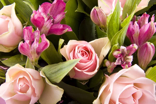 Romantiska blommor — Stockfoto