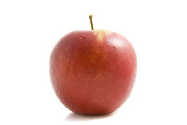 Rød æble - Stock-foto