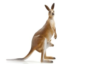 Kangaroo clipart