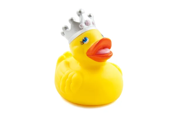 Pato rei de borracha — Fotografia de Stock