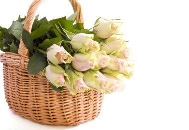 Basket roses clipart