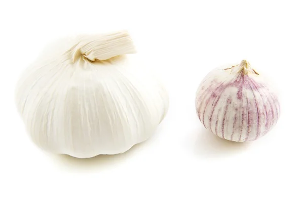 Garlic and garlic onion — Stock Photo, Image