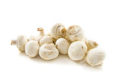 Fresh mushrooms clipart