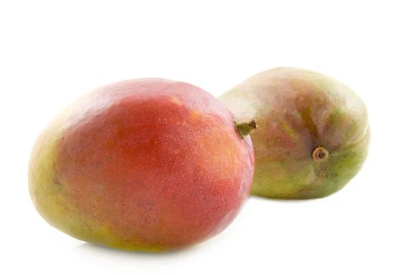 Two fresh mango's — Stock Photo, Image