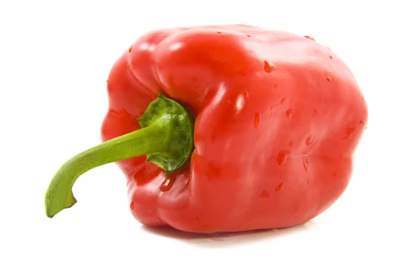 Paprika rossa fresca — Foto Stock