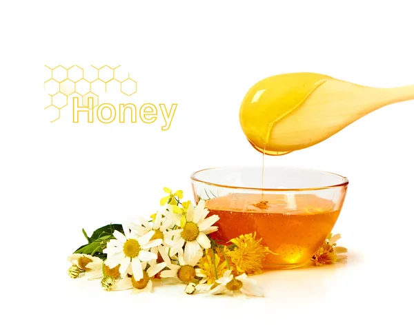 Honning med blomster - Stock-foto