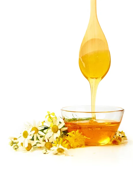 Miele con fiori — Foto Stock