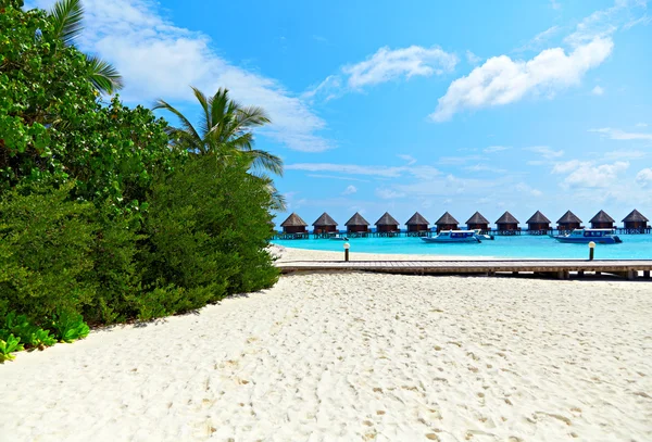 Playa de Maldivas — Foto de Stock