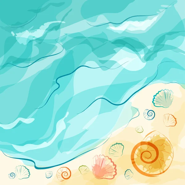 Praia do mar com conchas para design de verão —  Vetores de Stock