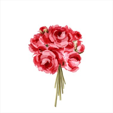 Bouquet of peonies clipart