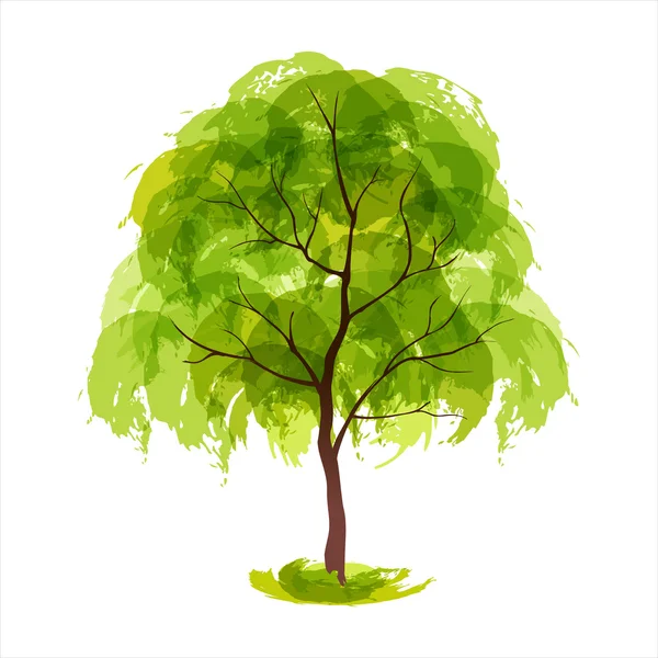 Yaz Ağacı — Stok Vektör