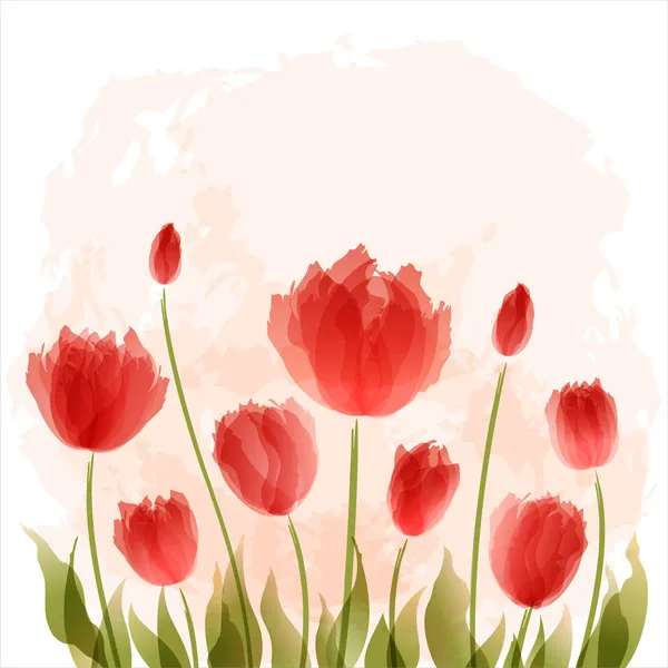 Romantické pozadí s kvetoucí tulipány — Stockový vektor