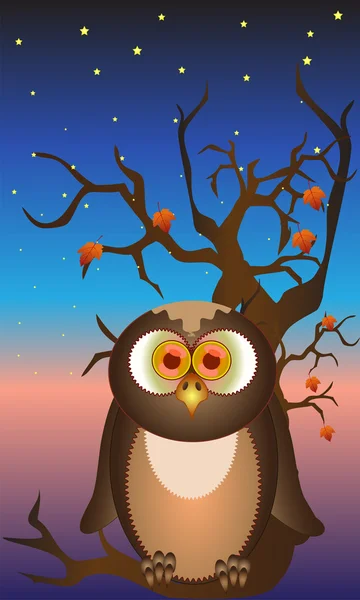 Beauty owl — Stock Vector