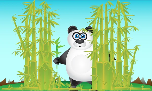 Cuty Panda im Bambus — Stockvektor