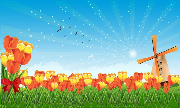 Frühlingsfelder mit Tulpen und Mühle — Stockvektor