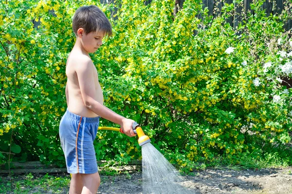 Boy watering plants in the garden with a hose — Stock Photo, Image