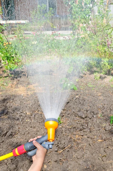 Watering the garden with a hose — Stock Photo, Image