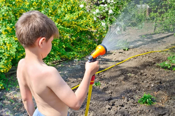 Chlapec zalévání rostlin v zahradě s hadicí — Stock fotografie