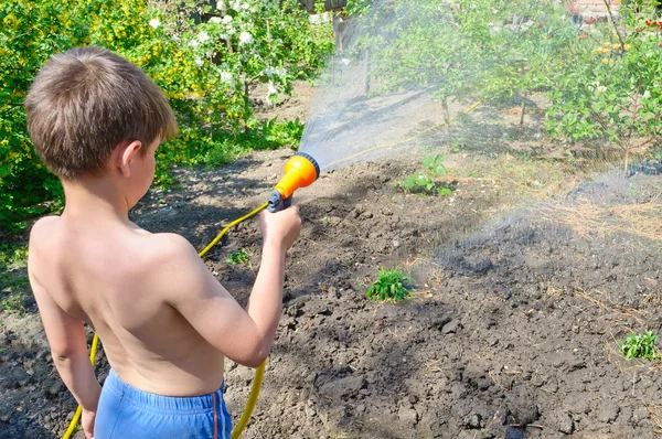 Chlapec zalévání rostlin v zahradě s hadicí — Stock fotografie