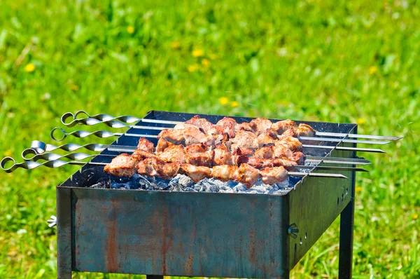 The meat is roasted on the grill — Stock Photo, Image